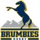 Shop Brumbies rugby jerseys