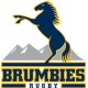 Brumbies Rugby Jerseys