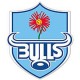 Bulls Jerseys & Fanwear