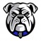 Shop Bulldogs rugby jerseys