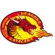 Catalans Dragons Shirts & Jerseys
