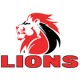 Lions Jerseys & Fanwear