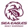 Shop Sea Eagles rugby jerseys