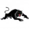 Shop Panthers rugby jerseys