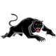Penrith Panthers Jerseys