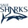 Shop Sale Sharks rugby jerseys