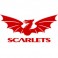 Shop Scarlets rugby jerseys