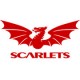 Scarlets Jerseys & Fanwear
