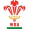 Shop Wales rugby jerseys