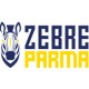 Zebre Parma Jerseys & Fanwear